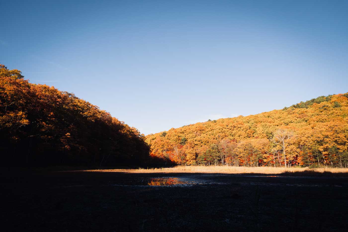 矢ノ原湿原の紅葉