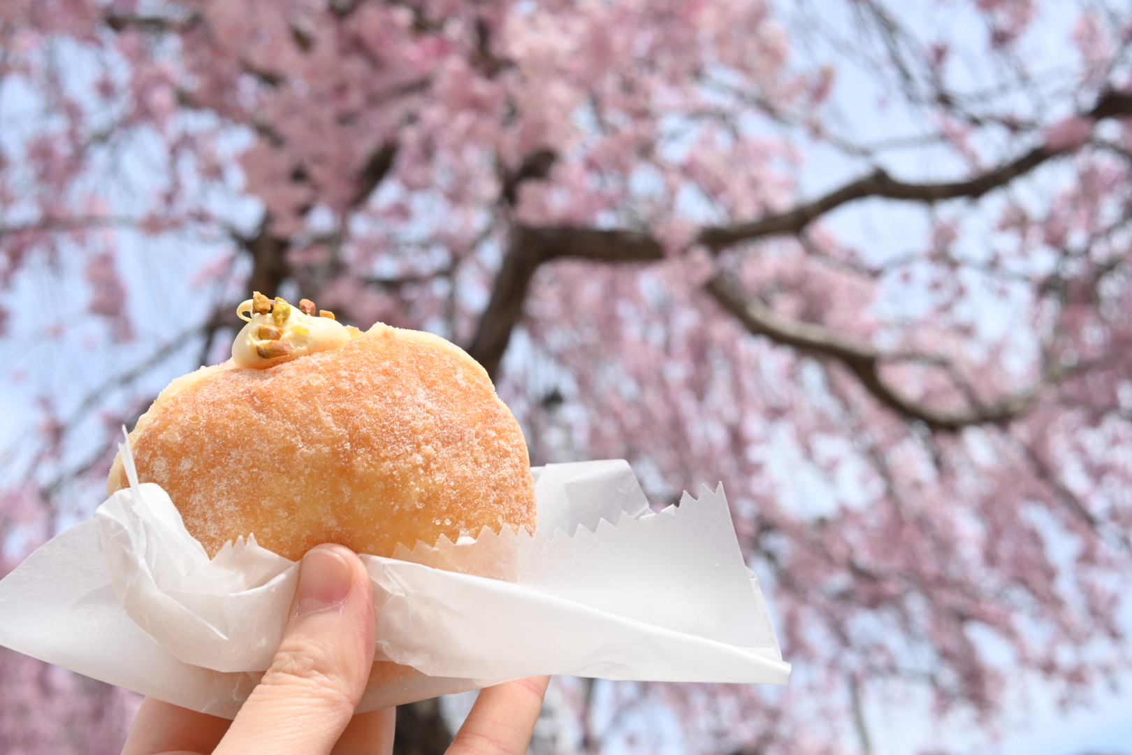 春は田島駅の桜を見ながら食べるのもおすすめ